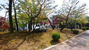 ERICA 거북바위 2.jpg