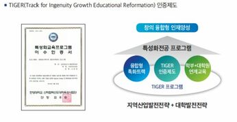 TIGER(Track for Ingenuiry Growth Educational Reformation) 인증제도.jpg