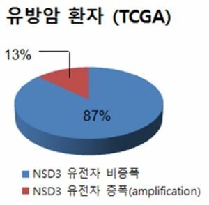 유방암 환자 코호트(TCGA, 미국)에서 NSD3 유전자의 증폭(amplification) 빈도 그래프.jpg