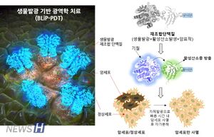 생물발광암치료.jpg